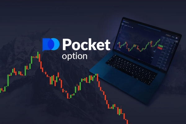 Discover the Best Trading Indicators for Beginners on Pocket Option