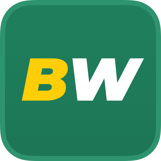 Discover the World of BetWinner Sports Betting