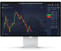 Exploring the Features of the Trading Platform Pocket Option 0